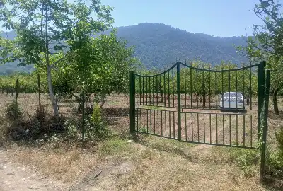 زمین وباغ مرکبات با مجوز چاه در مازندران ۹۴۶۱ متر