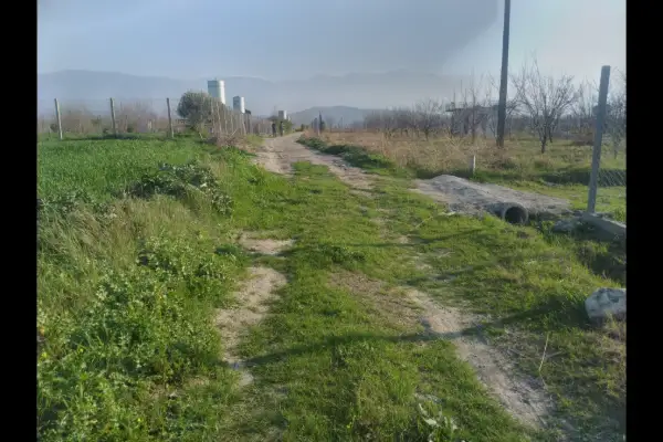 فروش زمین ۱۰۰۰ متری کلاجان قاجار - تصویر 2