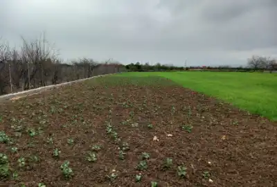 فروش یک قطعه زمین ۱۰۰۰ متر ابتدای روستای همت اباد