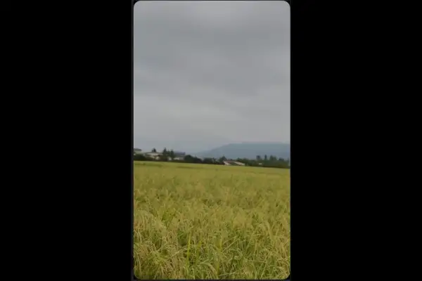 فروش زمین کشاورزی ۴۳۰۰۰ متر روستایی - تصویر 2