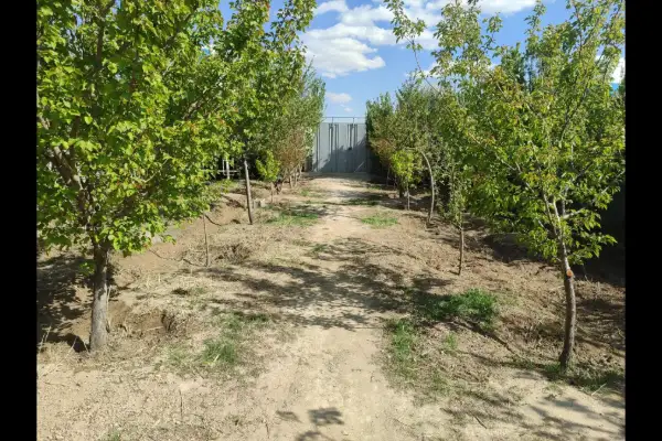 فروش باغچه نقلی و سرسبز ۴۵۰ متر روستای حصار مهتر - تصویر 2