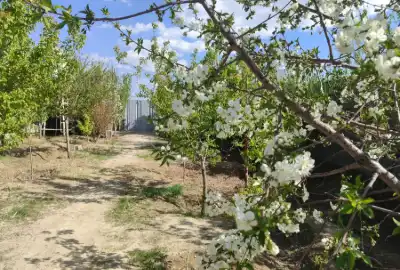 فروش باغچه نقلی و سرسبز ۴۵۰ متر روستای حصار مهتر