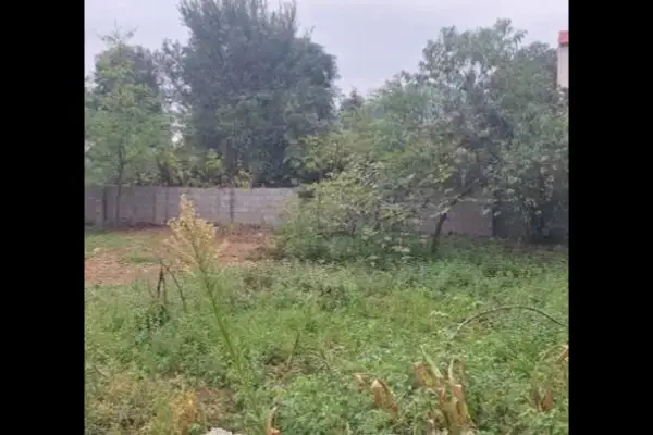 فروش زمین در بلوار کشاورز فهمیده ۲۰۰ متر - تصویر 2
