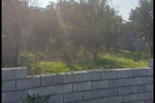 فروش زمین در بلوار کشاورز فهمیده ۲۰۰ متر - تصویر 4