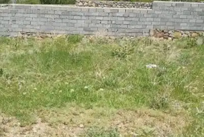 فروش زمین در خیابان شهید ۱۷۷ متر