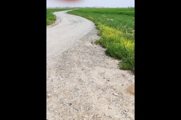فروش زمین ۶۰۰۰ متر بلوار توس روستای لقمانی - تصویر 2