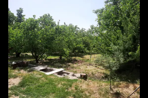 باغ ۲۰۰۰ متر نزدیک به شهر - تصویر 3