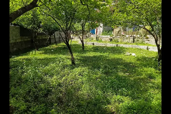 فروش زمین ۲۰۲ متر خرم آباد جاده دوهزار سه هزار روستای گلعلی آباد - تصویر 4