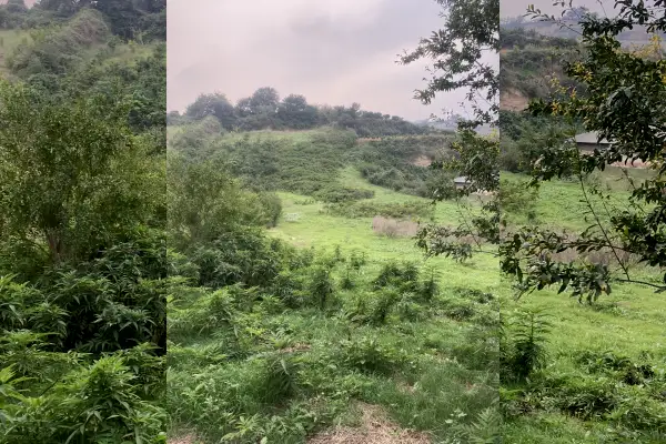 فروش زمین چهار هزار متر روستای گل خیل - تصویر 2