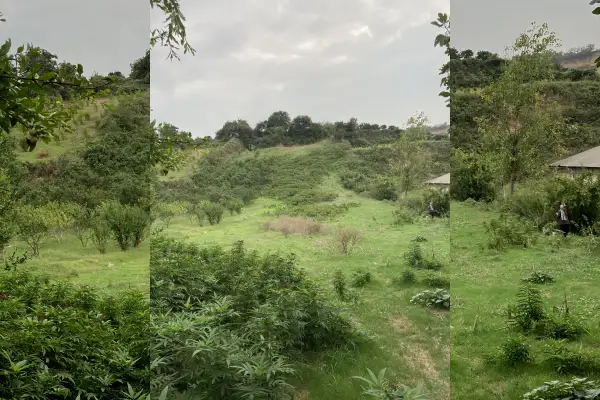 فروش زمین چهار هزار متر روستای گل خیل - تصویر 4