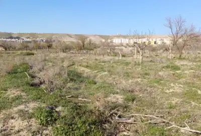 زمین باغ زراعی ۲۲۲۳ متر در سهند