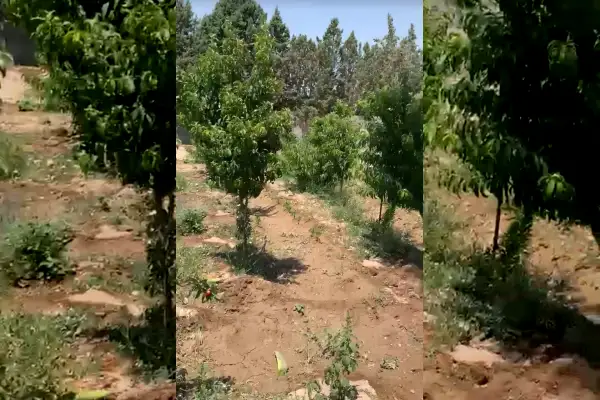 فروش زمین ۳۰۰ متر میدان کبوتر شهریار - تصویر 2