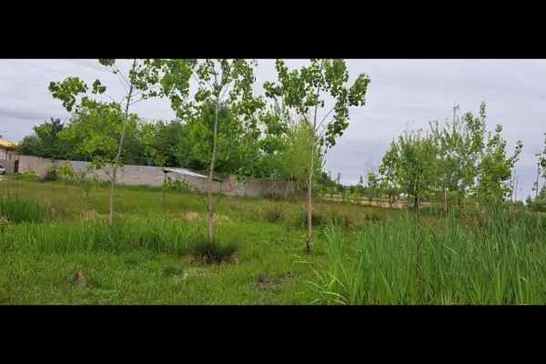 زمین فروشی قیمت توافقی ۱۷۰۰ متر روستای مرکیه - تصویر 2