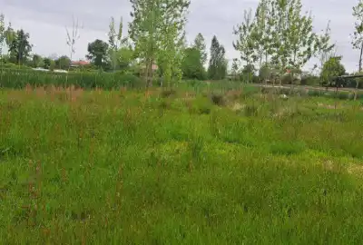 زمین فروشی قیمت توافقی ۱۷۰۰ متر روستای مرکیه