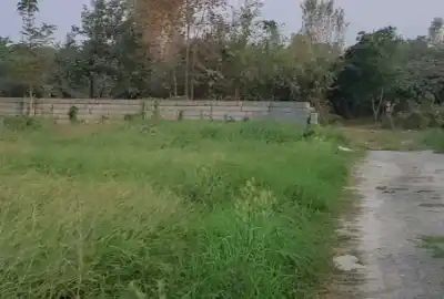 زمین در شهرک ۲۷۷ متر خرم اباد تنکابن مزرک