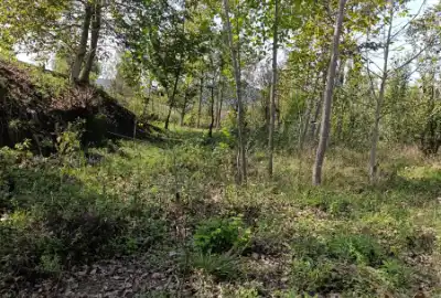 فروش زمین باغی ۷۰۰ متر ساری چهاردونگه روستای الیرد