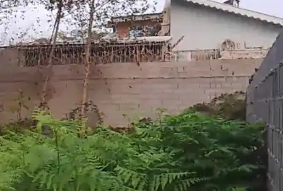 زمین در دیلمان دهسرا بهارستان ۲۰۰ متر