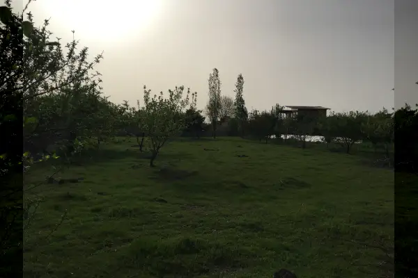 زمین مسکونی در تیرکلا ۱۱۰۰ متر - تصویر 2