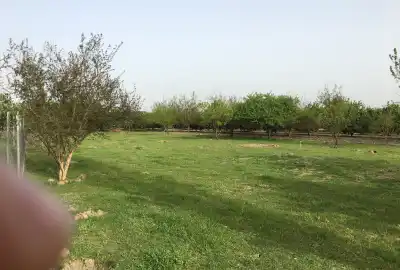 زمین مسکونی در تیرکلا ۱۱۰۰ متر