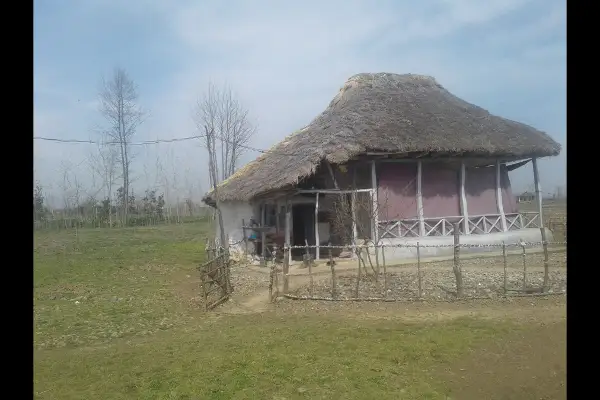 زمین متراژبالا ۷۳۰۰متری ماسال اولسبلنکاه - تصویر 2
