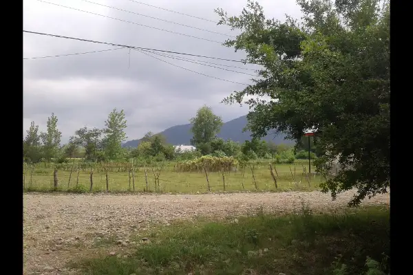 زمین متراژبالا ۷۳۰۰متری ماسال اولسبلنکاه - تصویر 3