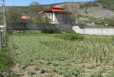فروش زمین ۶۰۰ متر ساری دودانگه منطقه فریم روستای شلدره
